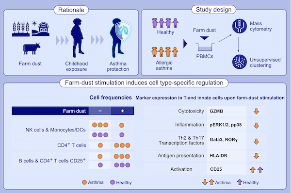 Les LPS et lipocalines semblent modifier l'inflammation induite.